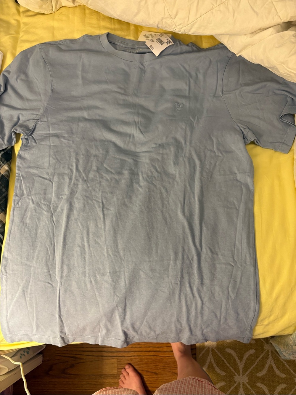 American Eagle Outfitters Light Blue Crewneck Tee